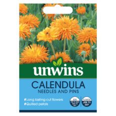 5051618010443 1 Calendula Needles And Pins Seeds.jpg